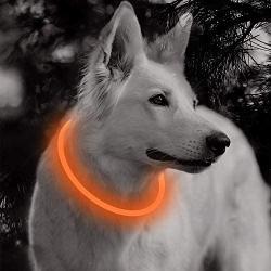 BSEEN LED Dog Collar - Cuttable Water Resistant Glowing Dog Collar Light Up, USB Rechargeable or Battery Powered Pet Necklace Loop for Dogs