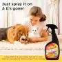 Urine Gone, S Stain & Odor Eliminator: Professional Strength Fast-Acting Enzyme-Based Solution, Instantly Penetrates and Neutralizes into the Fibers of a Carpet, Stops Pets from Remarking, 24 oz