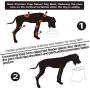Super Design Elevated Dog Bowl Raised Dog Feeder for Food and Water