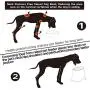 Super Design Elevated Dog Bowl Raised Dog Feeder for Food and Water