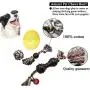 Dog Toys Dog Rope Toy For Aggressive Chewers, Puppy Teething Chew Toys, Dog Chew Toys For Puppies Teething Small Dogs, Puppy Toys For Boredom, Dog Tug Of War Toy Rope Puppy Chew Toys For Dogs