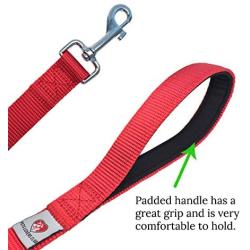 Dutchy Brand Heavy-Duty Dog Leash - Training-Lead with Comfortable Handle - 6 Feet Long by 1 Inch Wide - Perfect Length to Control Strong Dog and Puppy That Likes to Pull