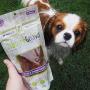 Nature Gnaws Smoked Salmon & Sweet Potato Chips for Dogs - Premium Natural Grain Free Dog Chew Treats - Simple Fish and Sweet Potato Receipe
