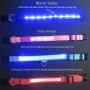 Blazin Safety LED Dog Collar – USB Rechargeable with Water Resistant Flashing Light