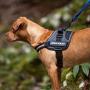 EzyDog Convert Trail-Ready Dog Harness