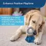 PetSafe Natural Rawhide Rings, Dog Toy Treat Ring Refills for Busy Buddy Dog Toys, Small, Medium, Large and Variety Packs Available in Peanut Butter and Original Rawhide