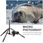 K&F Concept SA254T1 Camera Tripod 93 Inch 4 Section Aluminium Professional Detachable Monopod Tripod with 360 Degree Ball Head Quick Release Plate for DSLR SLR Camera
