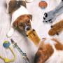 Peteast-3 Squeaky Toys and 3 Rope Dog Toys, No Stuffing Squeaky Plush Fox Raccoon Squirrel, Puppy Chew Teething Rope Toys Set for S/M/L Dogs Pets Animals