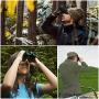 Compact Binoculars, Small Lightweight Binocular for Adults & Kids, Binoculars for Bird Watching Traveling Hiking Wildlife Outdoor, Easy Focus Folding Binoculars for Opera (Porro Prism)