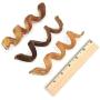 Gigabite Odor-Free Spiral Bully Sticks – USDA & FDA Certified, All Natural Free Range Beef Pizzle, Curly Bully Spring Dog Treat