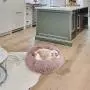 NOYAL Donut Dog Cat Bed, Soft Plush Pet Cushion, Anti-Slip Machine Washable Self-Warming Pet Bed - Improved Sleep for Cats Small Medium Dogs (Multiple Sizes) NOYAL Donut Dog Cat Bed, Soft Plush Pet Cushion, Anti-Slip Machine Washable Self-Warming Pet Bed - Improved Sleep for Cats Small Medium Dogs (Multiple Sizes)