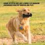 VANFINE Dog Squeaky Toys Almost indestructible Tough durable dog toys dog chew toys for large dogs aggressive chewers squeaky toys for dogs Stick Squeaker Puppy Chew Toys with Non-Toxic Natural Rubber