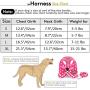 SELMAI Puppy Cat Small Girl Dog Dots Vest Harness Leash Set Mesh Padded No Pull Lead (Size Run Small,Please Check Size Details Carefully Before Purchase)