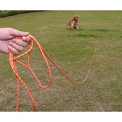 TagME Puppy Dog Obedience Recall Training Agility Lead,Reflective Long Rope Check Cord for Small Dogs, Orange Floating Leash,1/4 inches by 15/30/50 Feet