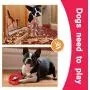 St.Zoe Dog Toys for Aggressive Chewers, Nearly Indestructible Tough Durable Natural Rubber Puppy Chew Toy for Large & Medium Breeds St.Zoe Dog Toys for Aggressive Chewers, Nearly Indestructible Tough Durable Natural Rubber Puppy Chew Toy for Large & Medium Breeds