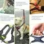 FUNFLOWERS Dog Harness No-Pull Adjustable Pet Vest Durable Polyester Material Dog Chest Strap with Reflective Strips Easy Control Training Harness for Small Medium Large Dog, 4 Colors FUNFLOWERS Dog Harness No-Pull Adjustable Pet Vest Durable Polyester Material Dog Chest Strap with Reflective Strips Easy Control Training Harness for Small Medium Large Dog, 4 Colors