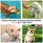 Dog Squeaky Toy, 6 PCS Latex Bouncy Egg Balls with Squeaker for Puppy Small Pet Dogs, Soft Rubber Sound Toys for Interactive Fetch Play