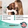 PET CARE Sciences Scent Spritz Dog Spray Deodorizer, Dog Freshening Spray, Long Lasting Dog Cologne, Apple Blossom Fragrance, 8 fl oz, Made in The USA