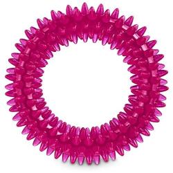 Leaps & Bounds Romp and Run Spiny Ring Dog Toy in Assorted Colors