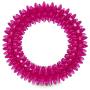 Leaps & Bounds Romp and Run Spiny Ring Dog Toy in Assorted Colors