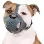 CollarDirect Dog Muzzle Pitbull Amstaff Basket Genuine Leather Staffordshire Terrier