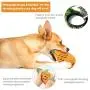 WENXUAN Pineapple Dog Chew Toys for Aggressive Chewer- Lifetime Replacement Guarantee, Indestructible Interactive Treat Toys for Large Medium Small Dogs - Fun to Chew, Chase and Fetch