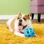 JW Pet Company Hol-ee Roller X Extreme 5 Dog Toy, 5-Inches (Colors Vary) - 43140