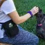 Athenas Pets Dog Treat Pouch, Best Treat Pouch and Dog Treat Bag; Great Dog Walking Bag and Dog Training Pouch, Dog Treat Pouch for Training with Poop Bag Dispenser, Treat Bag Includes Training eBook Athenas Pets Dog Treat Pouch, Best Treat Pouch and Dog Treat Bag; Great Dog Walking Bag and Dog Training Pouch, Dog Treat Pouch for Training with Poop Bag Dispenser, Treat Bag Includes Training eBook