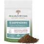 5 Defenders Organic Mushroom Extract Blend for Immune Support & Digestion, 45g Vegan Chaga, Reishi, Shiitake, Maitake & Turkey Tail Powder for Stress & Better Mood, Verified Levels of Beta-Glucans