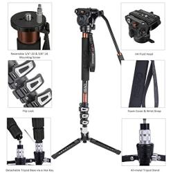 Cayer AF34 Professional Video Monopod Kit 71 inch Aluminum Telescopic Camera Monopod with Pan Tilt Fluid Head and 3-Leg Tripod Base for DSLR Video Cameras Camcorders, Plus 1 Extra Sliding Plate