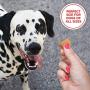 Milk-Bone MaroSnacks Dog Treats with Real Bone Marrow and Calcium