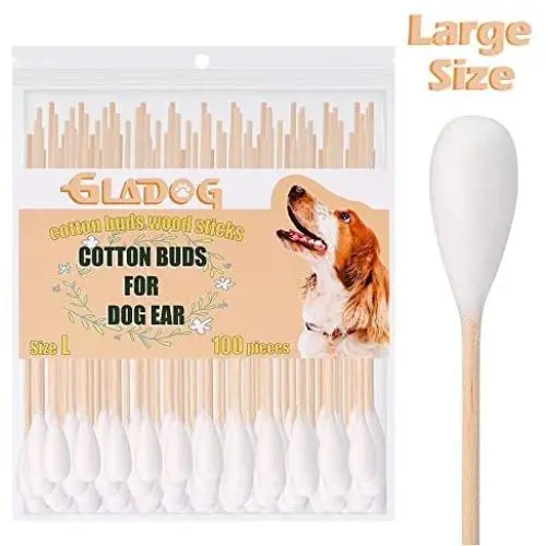 GLADOG 6 Inch Professional Large Cotton Buds for Dogs, Specially Designed Dog Cotton Buds with Wood Handle, Large Means Safe GLADOG 6 Inch Professional Large Cotton Buds for Dogs, Specially Designed Dog Cotton Buds with Wood Handle, Large Means Safe