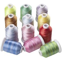 Simthreads 12 Variegated Colors Polyester Embroidery Machine Thread for Most Home Sewing Embroidery Machines 1100 Yards Each