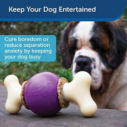 PetSafe Busy Buddy Bouncy Bone, Treat Holding Dog Toy, Small, Medium, Medium/Large and Large Sizes