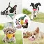 LEGEND SANDY Squeaky Plush Dog Toy Pack for Puppy, Small Stuffed Puppy Chew Toys 12 Dog Toys Bulk with Squeakers, Cute Soft Pet Toy for Small Medium Size Dogs