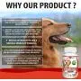 Cranberry for Dogs - Urinary Tract Support, Prevents UTI, Bladder Infections, Bladder Stones and Dog Incontinence. Antibacterial - 120 Natural Chew-able Tablets.