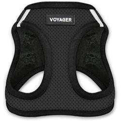 Voyager Step-in Air Dog Harness - All Weather Mesh, Step in Vest Harness for Small and Medium Dogs by Best Pet Supplies