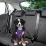 Lukovee Dog Safety Vest Harness with Seatbelt, Dog Car Harness Seat Belt Adjustable Pet Harnesses Double Breathable Mesh Fabric with Car Vehicle Connector Strap for Dog Lukovee Dog Safety Vest Harness with Seatbelt, Dog Car Harness Seat Belt Adjustable Pet Harnesses Double Breathable Mesh Fabric with Car Vehicle Connector Strap for Dog