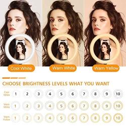 LED Selfie Ring Light 10" for iPhone with Tripod Stand and Phone Holder, Fill Light with Remote Control for Live Stream/Makeup/YouTube Video Compatible for iPhone Android
