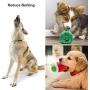 Nocciola 12 Pack Dog Squeaky Toys Cute Plush Toys for Small Medium Dog|Pet Toys|Squeaky Toys|Plush Games| Carry Bag
