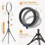 Ring Light,Upgraded Version 19inch with LCD Display Adjustable Color Temperature 3000K-5800K with Stand, YouTube Makeup Dimmable Video LED Light Kit, for Video Shooting, Portrait, Vlog, Selfie Ring Light,Upgraded Version 19inch with LCD Display Adjustable Color Temperature 3000K-5800K with Stand, YouTube Makeup Dimmable Video LED Light Kit, for Video Shooting, Portrait, Vlog, Selfie