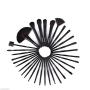 Makeup Brushes - VANDER Professional 32pcs Makeup Brush Set Black