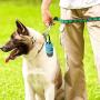 Dog Poop Dispenser with LED Safety Flash Light Dog Poop Dispenser with LED Safety Flash Light