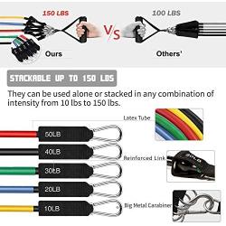 Fitness Insanity Resistance Bands Set - 5-Piece Exercise Bands - Portable Home Gym Accessories - Stackable Up to 150 lbs. - Perfect Muscle Builder for Arms, Back, Leg, Chest, Belly, Glutes