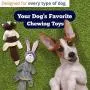 American Pet Supplies Plush Corduroy Chew Toys, Squeaky, Durable, Set for Dogs and Puppies