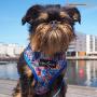 Lucy & Co. Reversible Dog Harness Walking Halter - Harnesses for Small Medium Large XL Dogs - Padded Adjustable - for German Shepherd, Pug, French Bulldog, English Bulldog