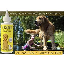 Immediate, Natural Relief with Witch Hazel Dog and Cat Ear Cleaner. Quickly Heals Pet Ear Infections in 3-5 Days. 4 oz. Easy, 1-Step Clea