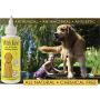 Immediate, Natural Relief with Witch Hazel Dog and Cat Ear Cleaner. Quickly Heals Pet Ear Infections in 3-5 Days. 4 oz. Easy, 1-Step Clea