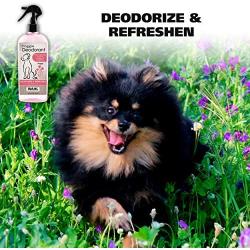 Wahl Cornflower Aloe Pet Deodorant for Dogs & Puppies – Clean Fresh Smell for Refreshing & Deodorizing – 8 Oz