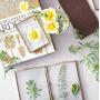 Rising Star Double 4x6 Folding Picture Frames, Gold Metal Pressed Glass Photo Frame Brass